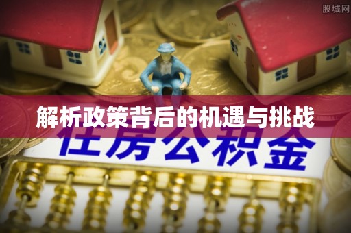 芳苑解析政策背后的机遇与挑战
