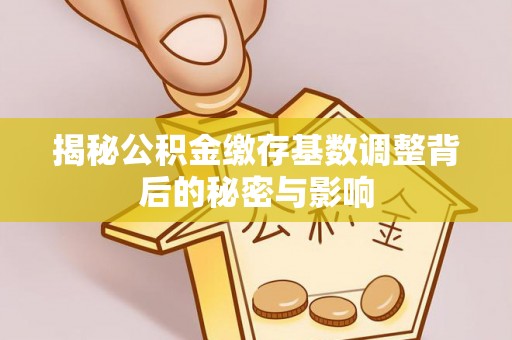 芳苑揭秘公积金缴存基数调整背后的秘密与影响