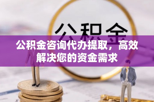 芳苑公积金咨询代办提取，高效解决您的资金需求