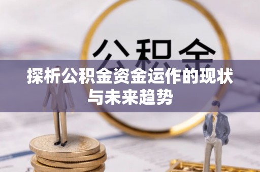 芳苑探析公积金资金运作的现状与未来趋势