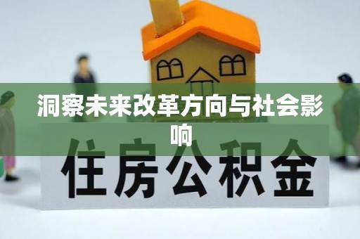 芳苑洞察未来改革方向与社会影响