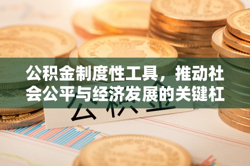 芳苑公积金制度性工具，推动社会公平与经济发展的关键杠杆