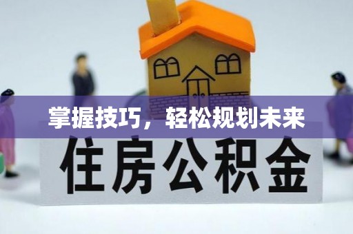 芳苑掌握技巧，轻松规划未来