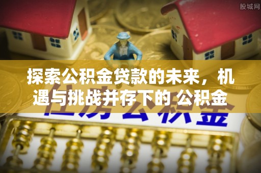 芳苑探索公积金贷款的未来，机遇与挑战并存下的 公积金贷款风险防控