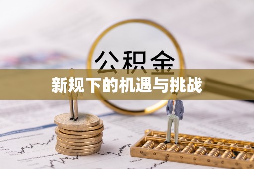 芳苑新规下的机遇与挑战
