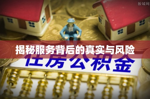 芳苑揭秘服务背后的真实与风险