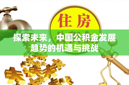 芳苑探索未来，中国公积金发展趋势的机遇与挑战