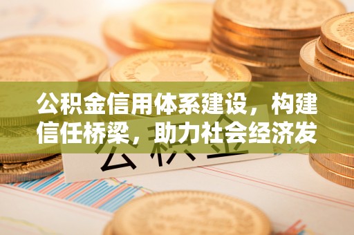 芳苑公积金信用体系建设，构建信任桥梁，助力社会经济发展