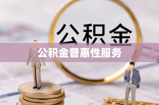 芳苑公积金普惠性服务