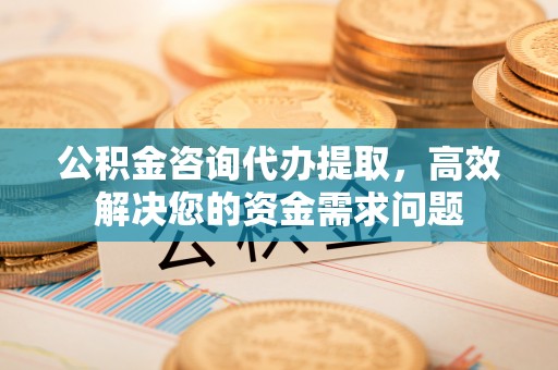 芳苑公积金咨询代办提取，高效解决您的资金需求问题
