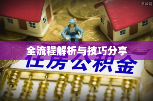 芳苑全流程解析与技巧分享